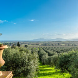 ©Pieve di Caminino